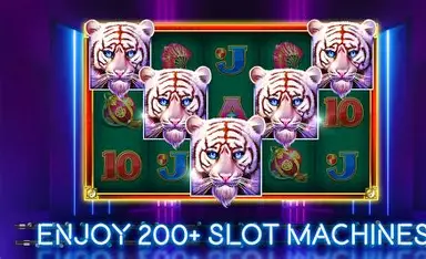 VIP Rewards System